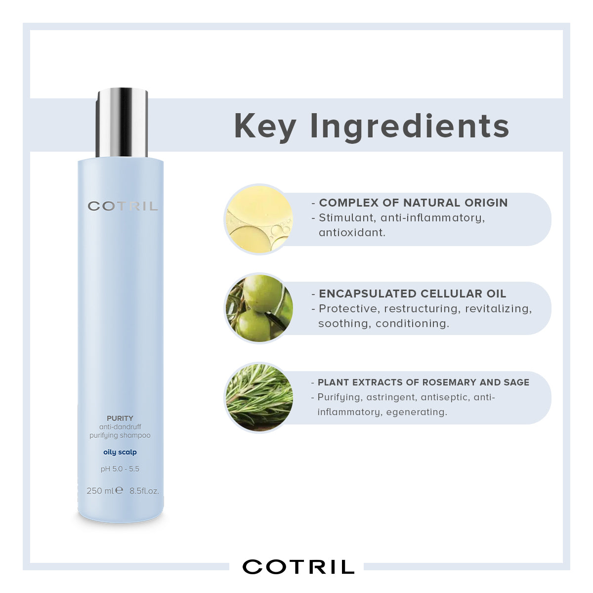 COTRIL Purity Anti-Dandruff & Purifying Shampoo For Oily Scalp (250 ml)