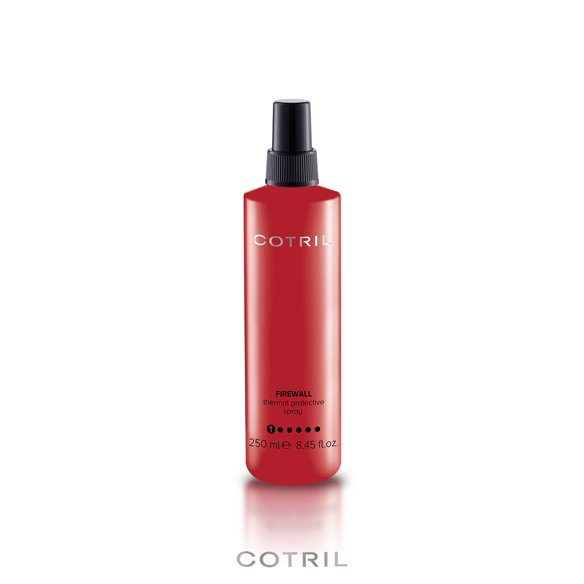 Firewall Thermal Protective Spray (250 ml)