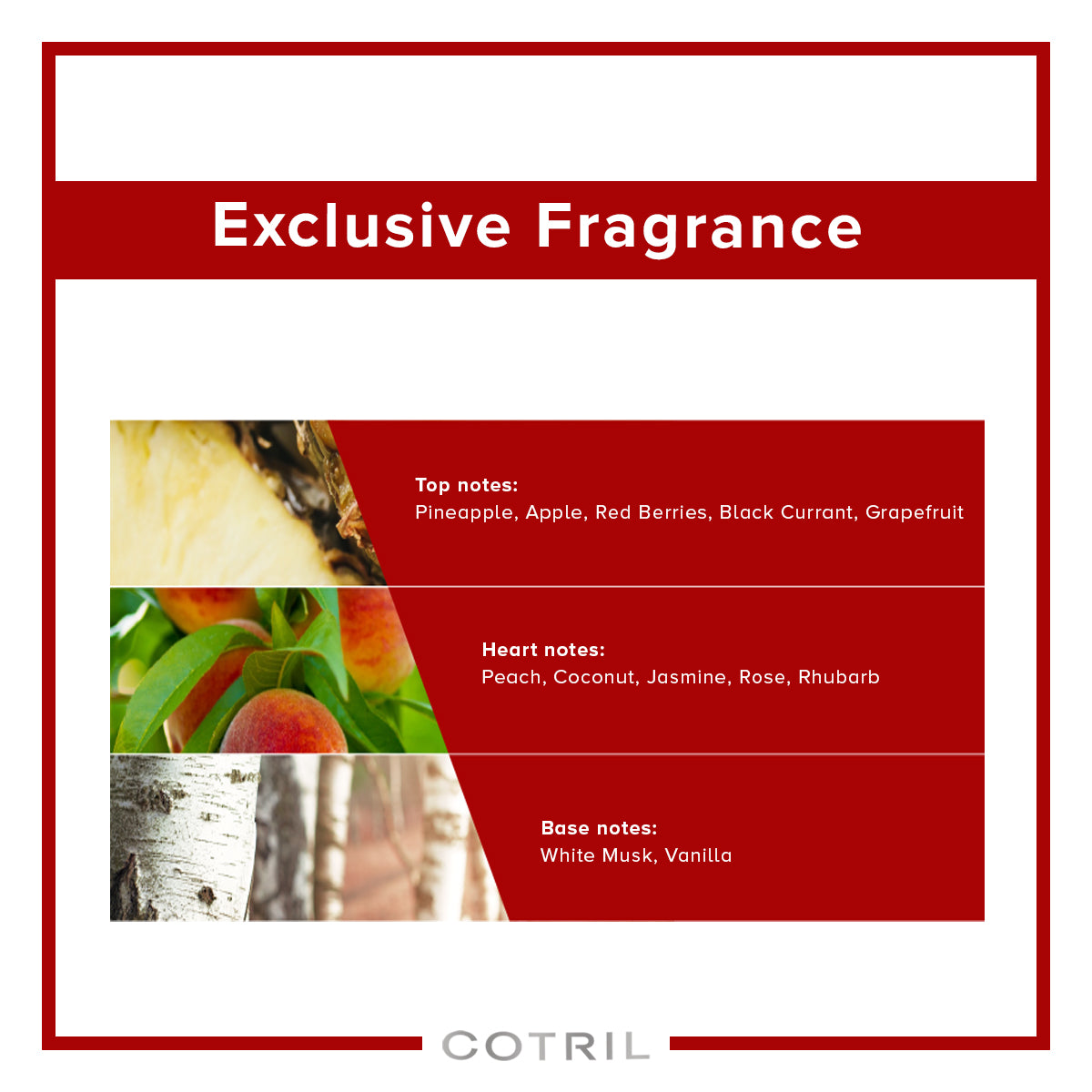 Firewall Thermal Protective Spray (250 ml)